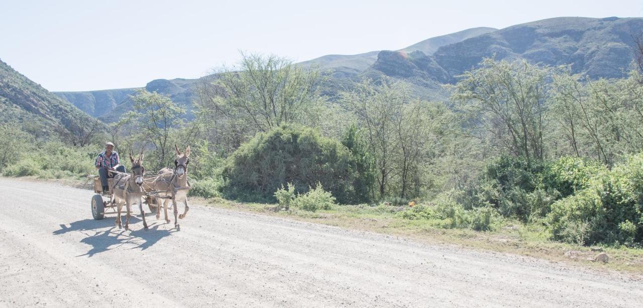 Sederkloof Lodge Studtis Eksteriør bilde